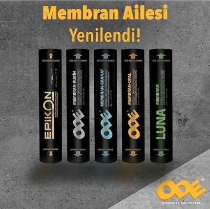 70510026 2423768307711537 1305656563196755968 n